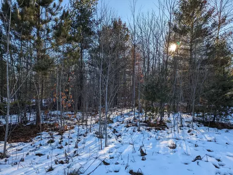 Bergstrom Drive, Kaleva, MI 49645