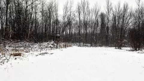 Vl 44th St, Paw Paw, MI 49079