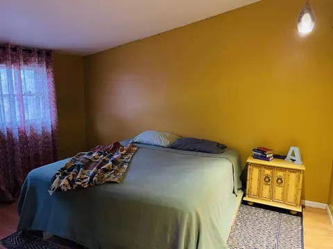 245 E 4th St, Constantine, MI 49042 photo 9