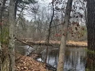Vl S Crossover Trail, Baldwin, MI 49304 photo 18