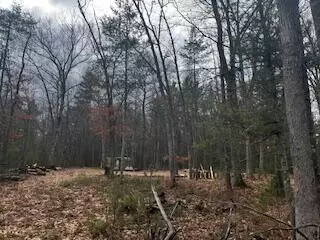 Vl S Crossover Trail, Baldwin, MI 49304 photo 4