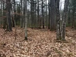 Vl S Crossover Trail, Baldwin, MI 49304 photo 41