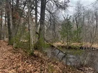 Vl S Crossover Trail, Baldwin, MI 49304 photo 20