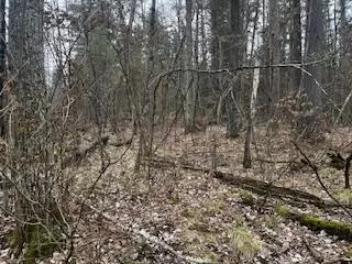 Vl S Crossover Trail, Baldwin, MI 49304 photo 39