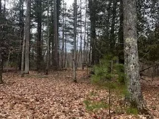 Vl S Crossover Trail, Baldwin, MI 49304 photo 32