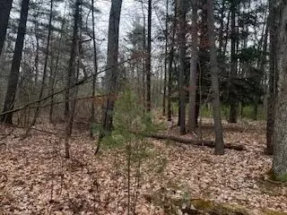 Vl S Crossover Trail, Baldwin, MI 49304 photo 50