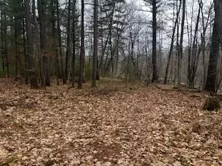 Vl S Crossover Trail, Baldwin, MI 49304 photo 43
