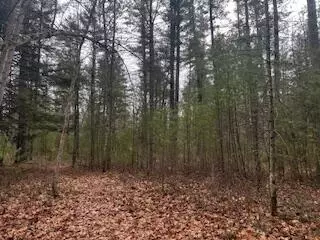 Vl S Crossover Trail, Baldwin, MI 49304 photo 23