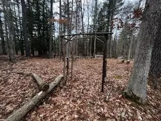 Vl S Crossover Trail, Baldwin, MI 49304 photo 27