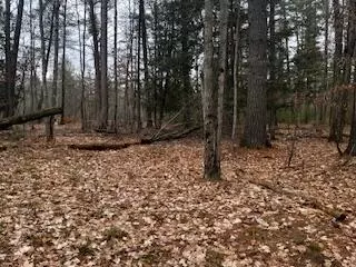 Vl S Crossover Trail, Baldwin, MI 49304 photo 42