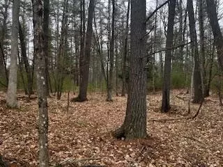 Vl S Crossover Trail, Baldwin, MI 49304 photo 49