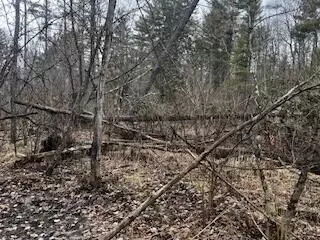 Vl S Crossover Trail, Baldwin, MI 49304 photo 40