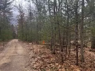 Vl S Crossover Trail, Baldwin, MI 49304 photo 3