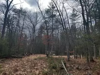 Vl S Crossover Trail, Baldwin, MI 49304 photo 5