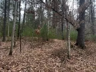 Vl S Crossover Trail, Baldwin, MI 49304 photo 48