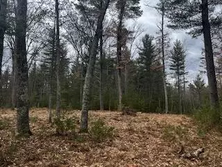 Vl S Crossover Trail, Baldwin, MI 49304 photo 6