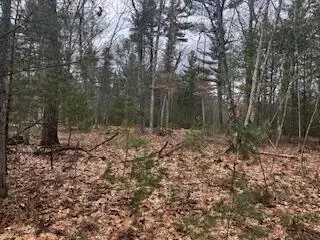 Vl S Crossover Trail, Baldwin, MI 49304 photo 2