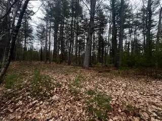 Vl S Crossover Trail, Baldwin, MI 49304 photo 47