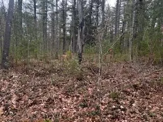 Vl S Crossover Trail, Baldwin, MI 49304 photo 13