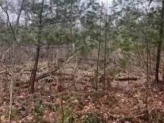 Vl S Crossover Trail, Baldwin, MI 49304 photo 12