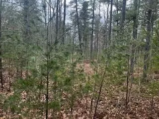 Vl S Crossover Trail, Baldwin, MI 49304 photo 9