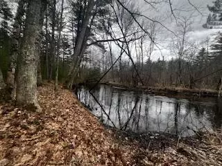 Vl S Crossover Trail, Baldwin, MI 49304 photo 45