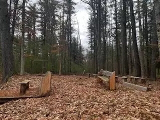 Vl S Crossover Trail, Baldwin, MI 49304 photo 33