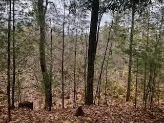 Vl S Crossover Trail, Baldwin, MI 49304 photo 10