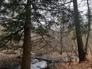 Vl S Crossover Trail, Baldwin, MI 49304 photo 17