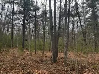 Vl S Crossover Trail, Baldwin, MI 49304 photo 14