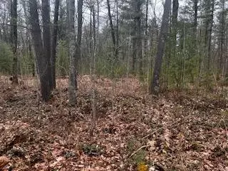 Vl S Crossover Trail, Baldwin, MI 49304 photo 15