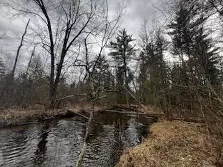 Vl S Crossover Trail, Baldwin, MI 49304 photo 36