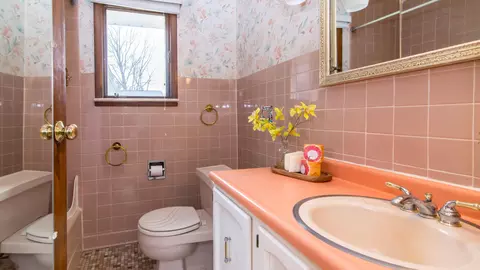 Bath - 1020 Bishop Rd, Saline, MI 48176 photo 4 of 7