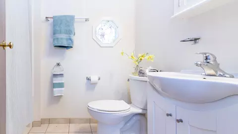 Bath - 1020 Bishop Rd, Saline, MI 48176 photo 2 of 7