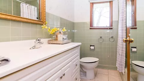 Bath - 1020 Bishop Rd, Saline, MI 48176 photo 6 of 7