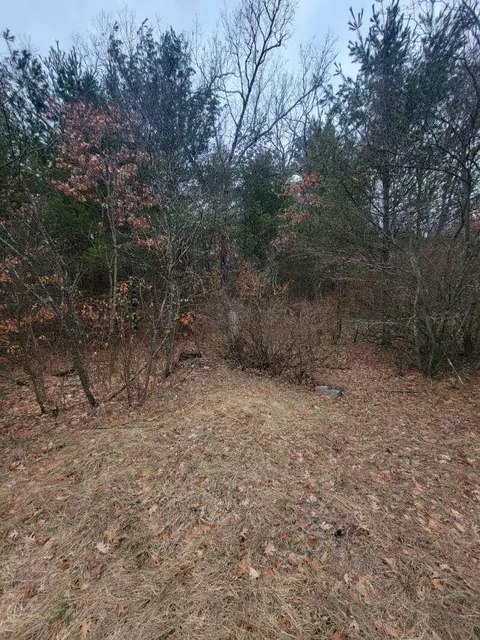 1934 W 36th St, Baldwin, MI 49304 photo 21