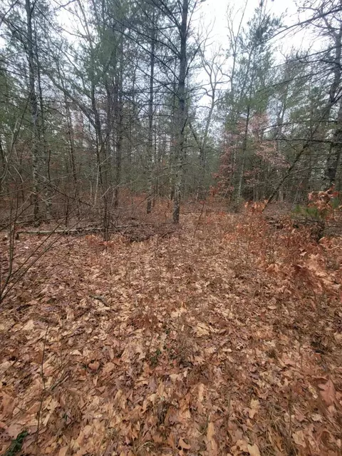 1934 W 36th St, Baldwin, MI 49304 photo 3
