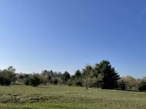 N Wyman, Edmore, MI 48829