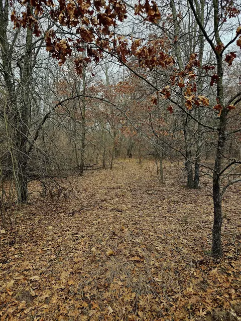 12622 5 Mile Road Rd, Evart, MI 49631