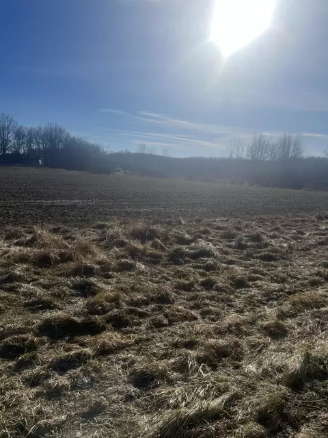 L Drive N, Marshall, MI 49068 photo 3