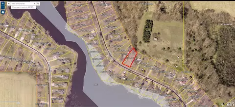 lot215 E Shore Dr, Stanton, MI 48888 photo 6