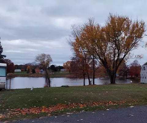 lot215 E Shore Dr, Stanton, MI 48888 photo 4