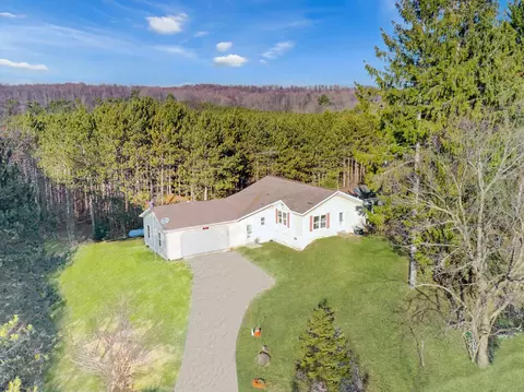 6146 Maidens Rd, Bear Lake, MI 49614
