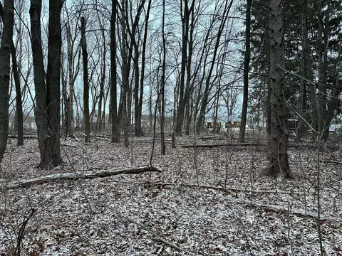 0000 Lyon Lake Rd, Marshall, MI 49068