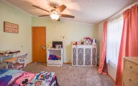 Bedroom - 811 Kinter Rd, Bronson, MI 49028 photo 8 of 9