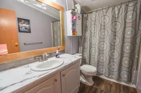 Bath - 811 Kinter Rd, Bronson, MI 49028 photo 3 of 3