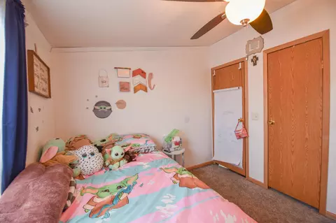 Bedroom - 811 Kinter Rd, Bronson, MI 49028 photo 6 of 9