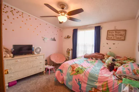 Bedroom - 811 Kinter Rd, Bronson, MI 49028 photo 4 of 9