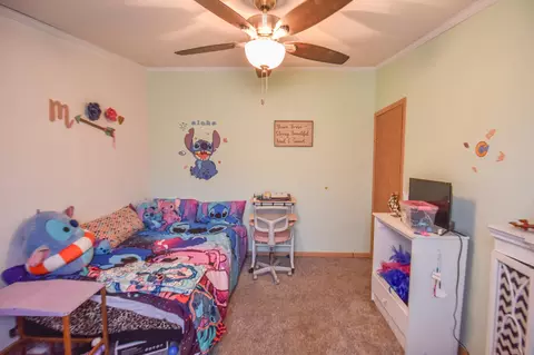 Bedroom - 811 Kinter Rd, Bronson, MI 49028 photo 7 of 9