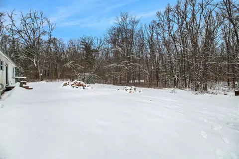 48 N Locust Ave, White Cloud, MI 49349 photo 5